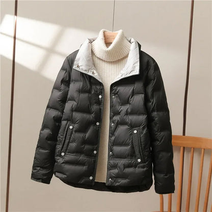 High Collar Quilted Down Jacket